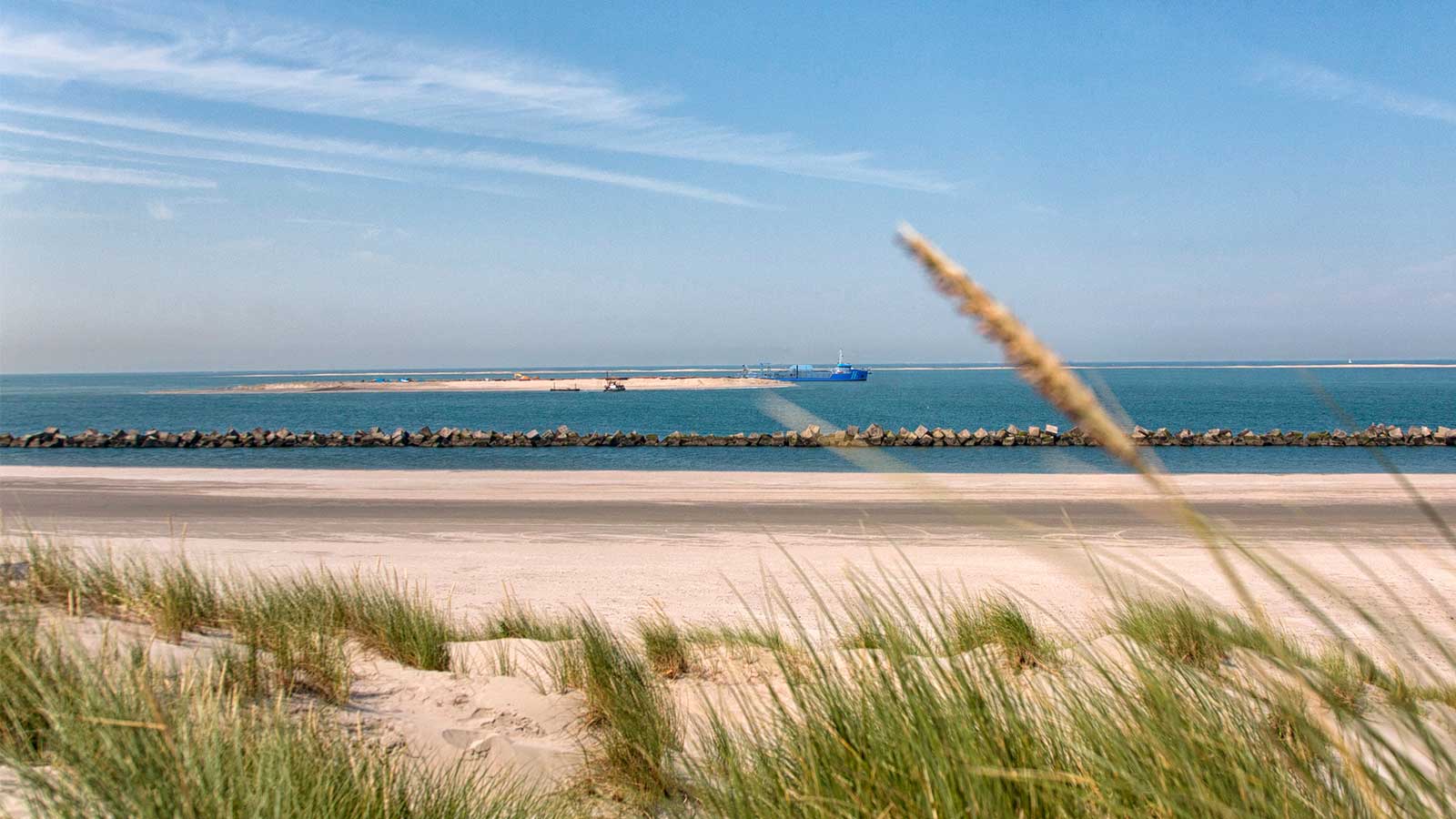 Land reclamation along the coast